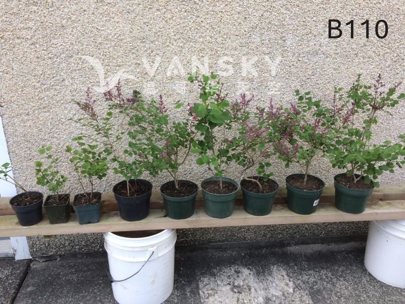 260224235317_B110 31 - 25-09.JPG